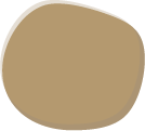 color_variation03
