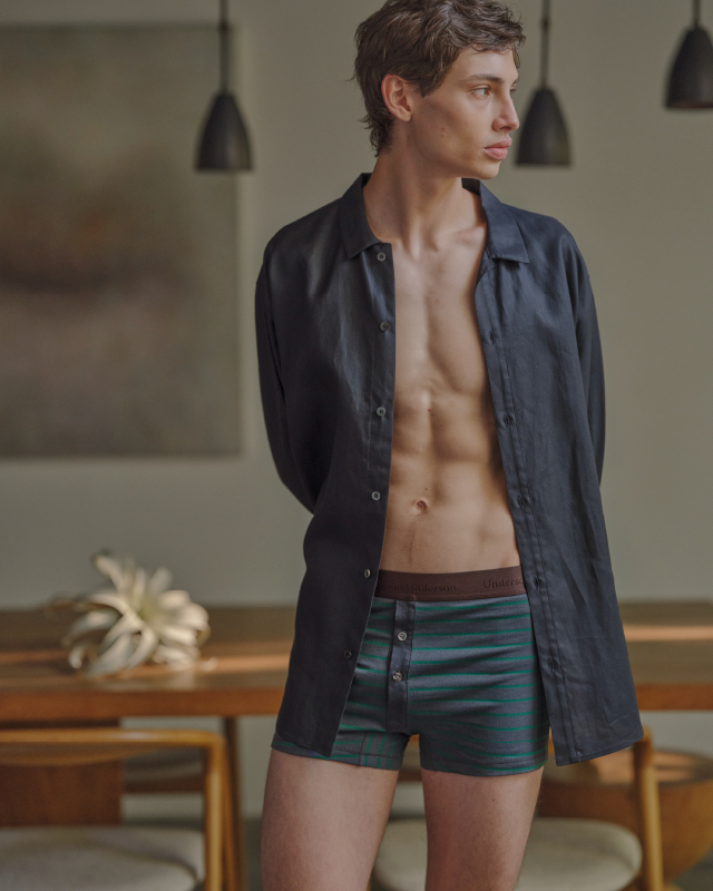 ボーダーショートトランクスを着用している男性モデルの画像01