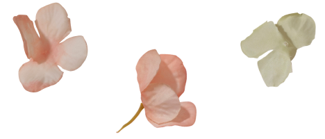 花の画像