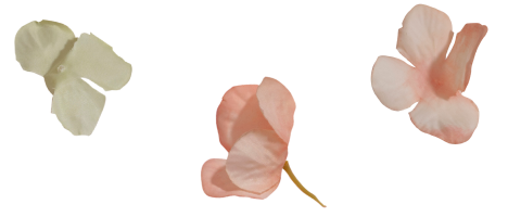 花の画像